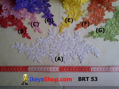 BRT 53  large2